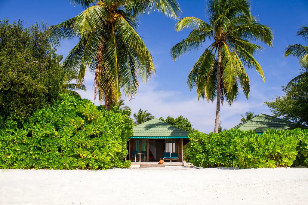 卡娜丽芙岛 - 高级海滩别墅（带漩涡浴缸）图片2 - Canareef Resort Maldives Premium Beach Villa with Whirlpool Photo 2
