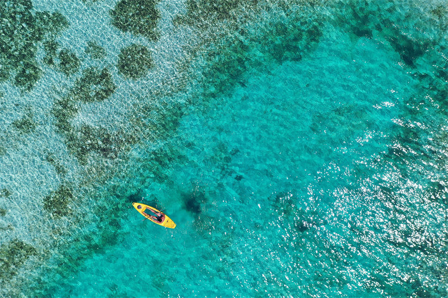 艾美 - 水上运动图片1 - Le Meridien Maldives Resort & Spa Diving & Watersports Photo 1