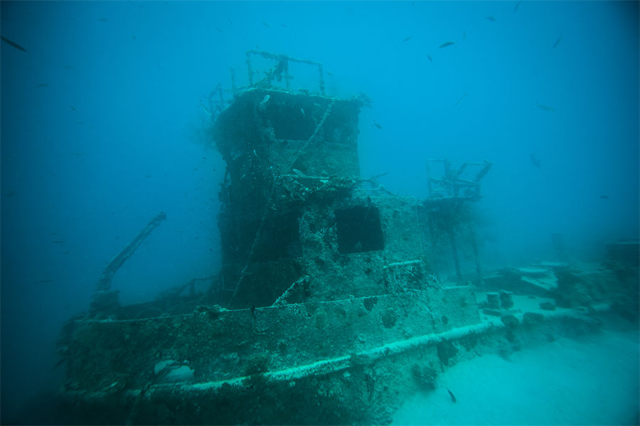 泰姬珊瑚 - 潜水图片3 - Taj Coral Reef Resort & Spa Diving Photo 3