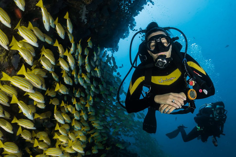 柏典 - 水上活动和潜水图片1 - Patina Maldives Water Sport Photo 1