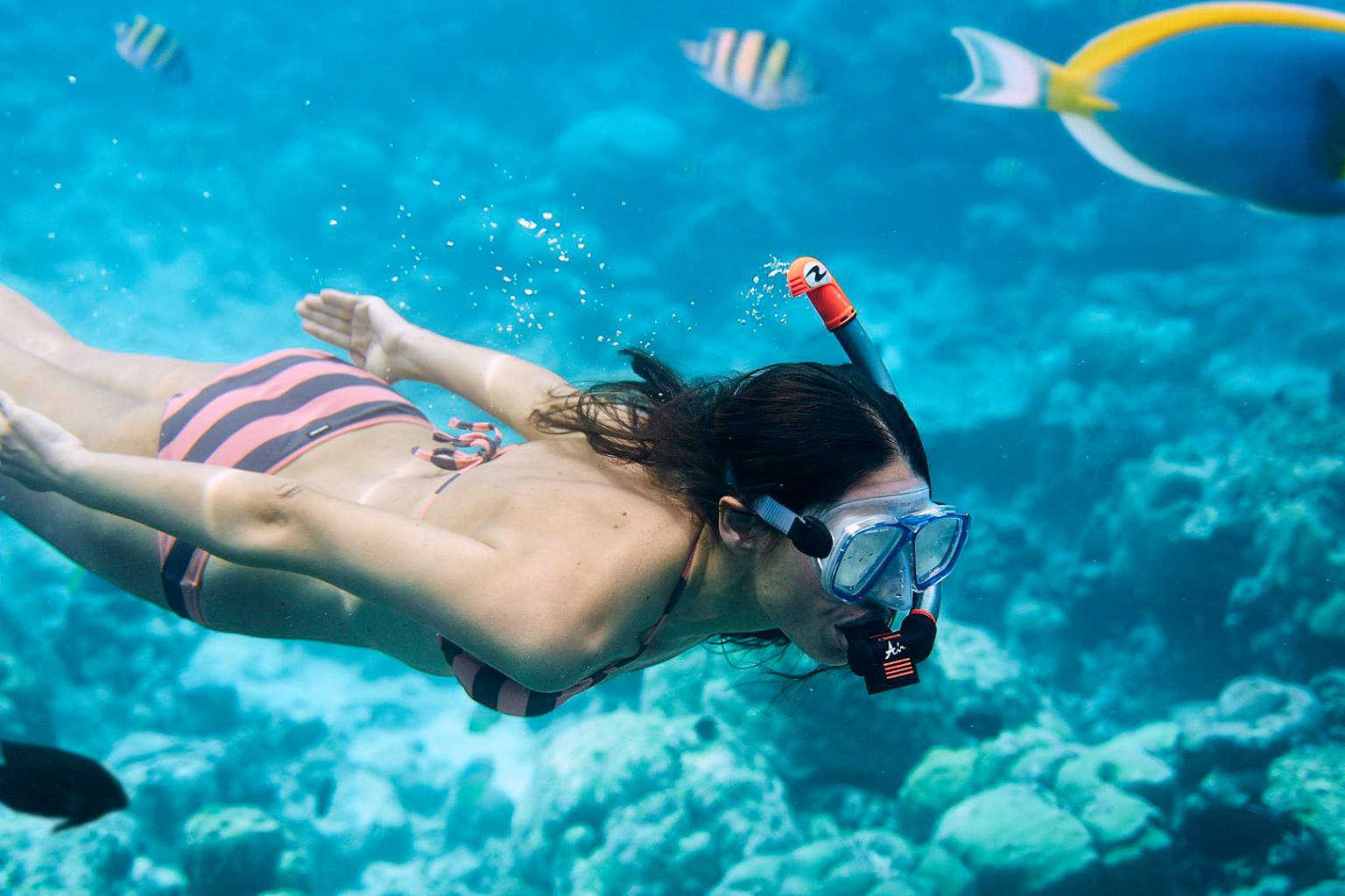 新鲁滨逊努努 - 潜水及水上运动图片2 - Robinson Club Noonu Diving&Water Sports Photo 2