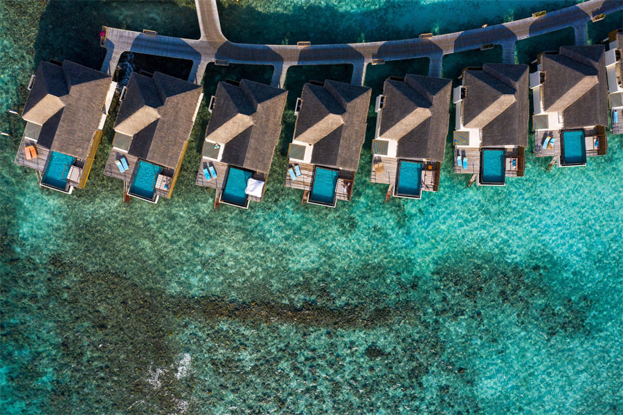 芙拉薇莉 - 日出海洋泳池别墅图片1 - Furaveri lsland Resort & Spa Sunrise Ocean Pool Villa Photo 1