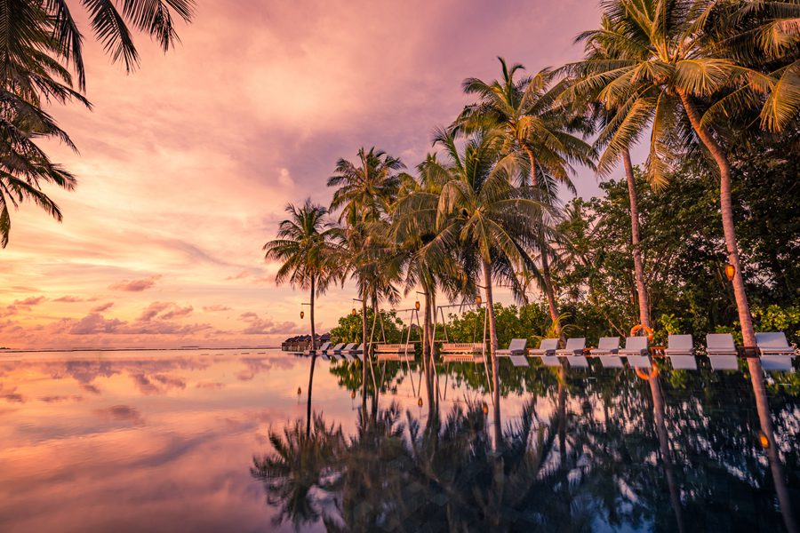 伊露富士（伊露） - 成人无边泳池餐吧图片3 - Sun Siyam Iru Fushi Reflections Photo 3