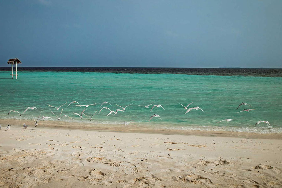 玛雅富士度假村图片2 - Maayafushi Nakai Maldive Resort Resort Photo 2