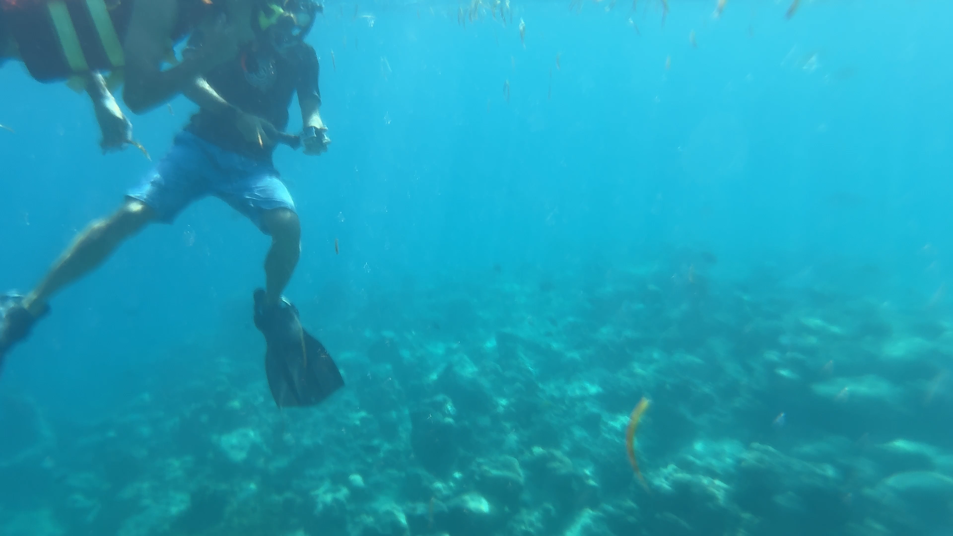 艾美 - 潜水中心图片1 - Le Meridien Maldives Resort & Spa Dive center Photo 1