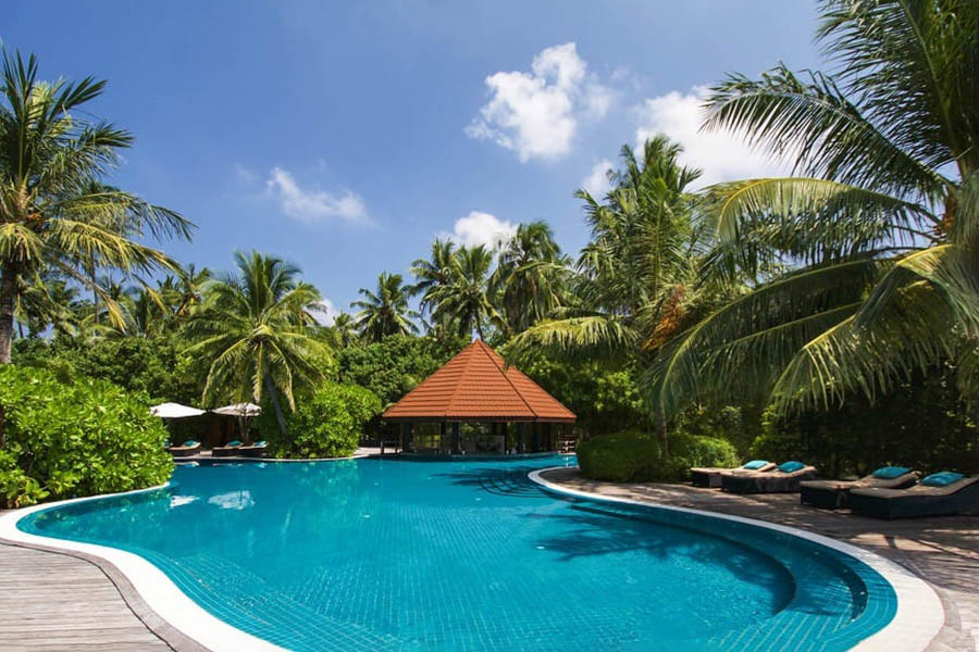 鲁滨逊 - 泳池吧图片2 - Robinson Club Maldives Pool Bar Photo 2