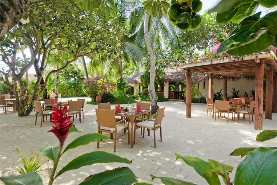 库拉玛蒂 - 岛屿咖啡店图片2 - Kuramathi Resort Maldives Island Coffee Shop Photo 2