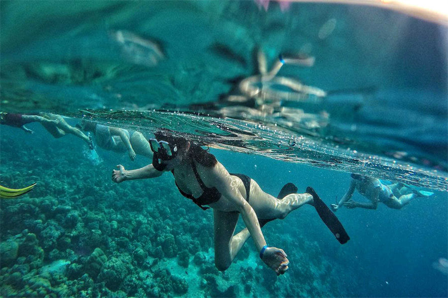 密度帕茹 - 潜水图片2 - Adaaran Select Meedhupparu Maldives Diving Photo 2