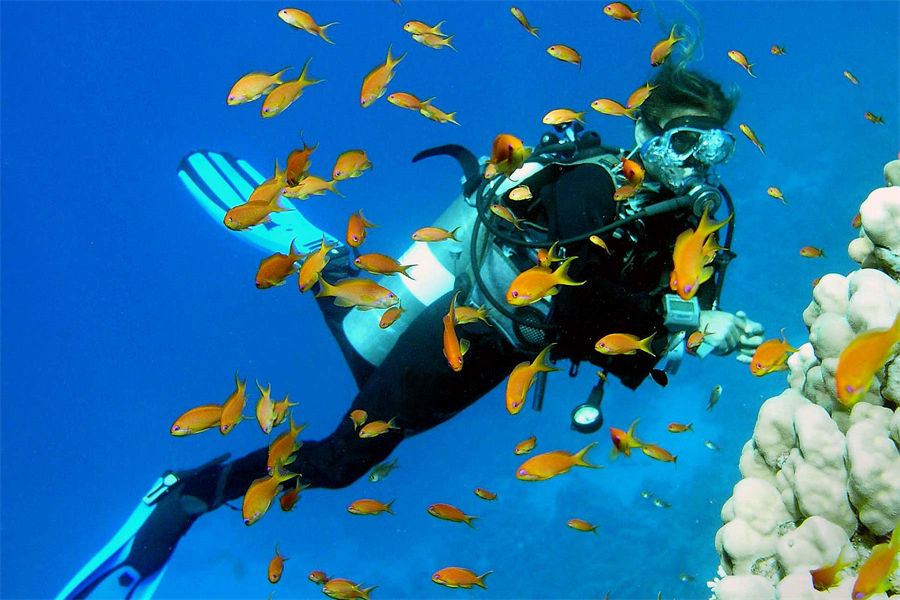 库拉玛蒂 - 潜水图片1 - Kuramathi Resort Maldives Diving Photo 1