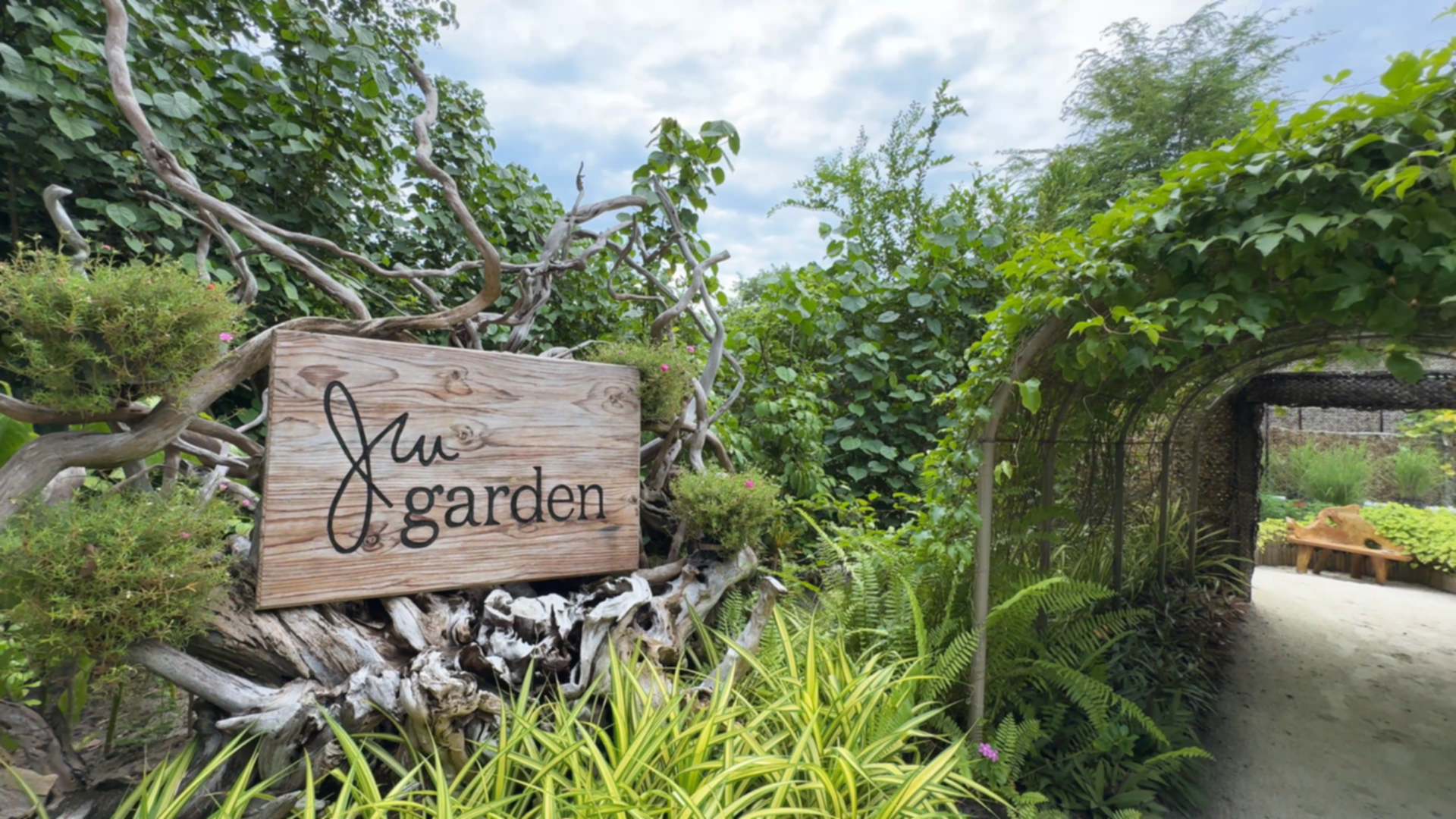 JW万豪 - 菜园图片1 -  JW Marriott Maldives Resort & Spa garden Photo 1