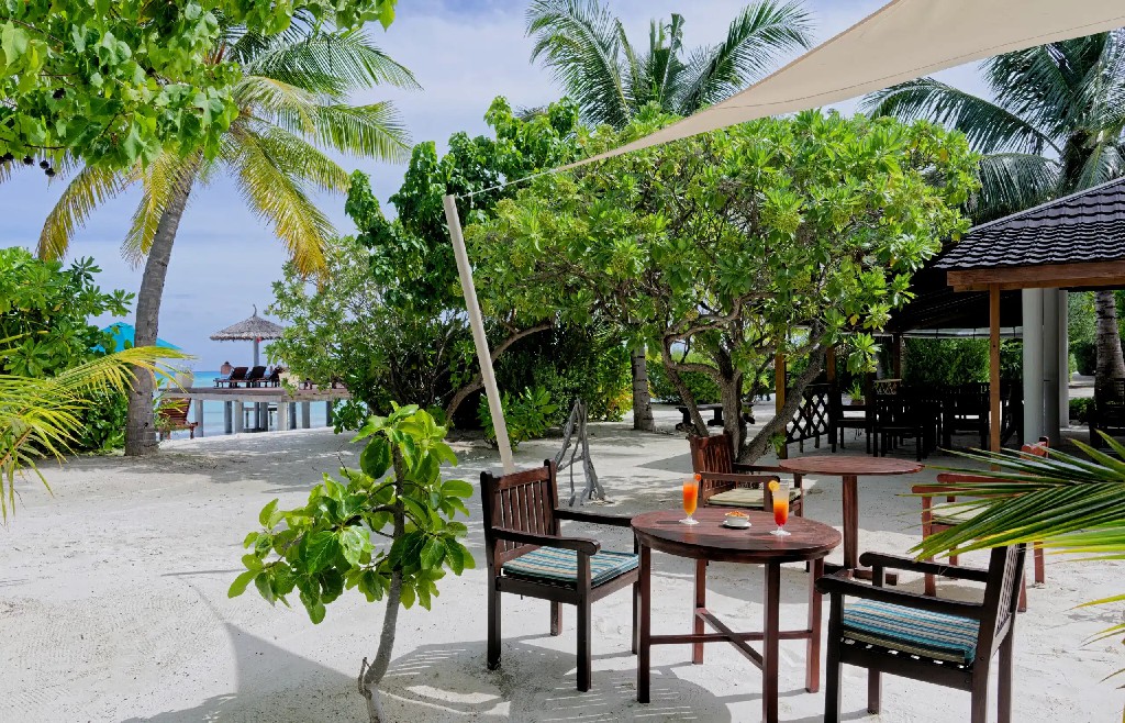 卡娜丽芙岛 - 海滩酒吧图片4 - Canareef Resort Maldives Beach Bar Photo 4