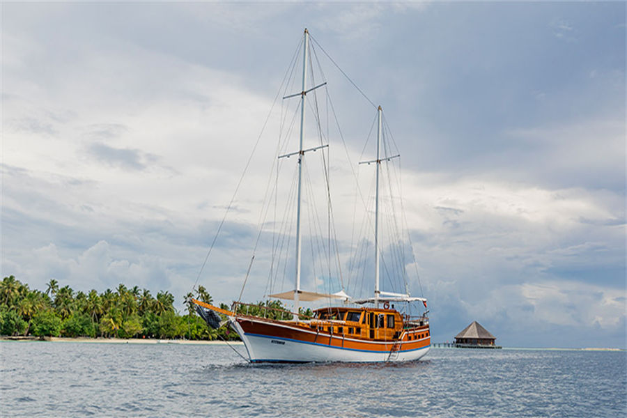 维拉蔓豪活动项目 - 游艇出游 - Vilamendhoo Island Resort  Activities