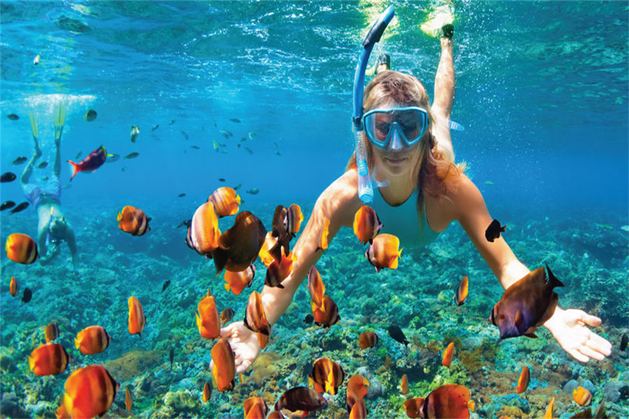希娜蒙薇丽富士 - 潜水及水上运动图片1 - Cinnamon Velifushi Maldives Diving & Water Sports Photo 1