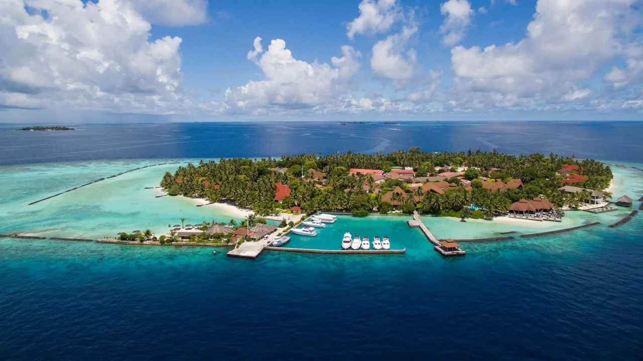 椰子岛度假村图片1 - Kurumba Maldives Resort Photo 1
