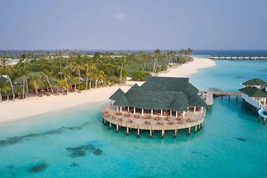 禧亚世嘉 - 印度餐厅图片3 - Siyam World Maldives Kurry Leaf Photo 3