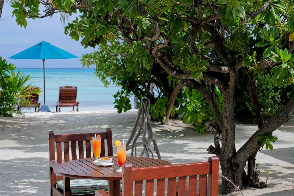 卡娜丽芙岛 - 海滩酒吧图片2 - Canareef Resort Maldives Beach Bar Photo 2