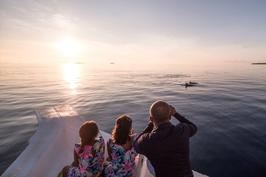 索尼娃秘密 - 日落海豚巡游图片2 - Soneva Secret Sunset Dolphin Cruise Photo 2