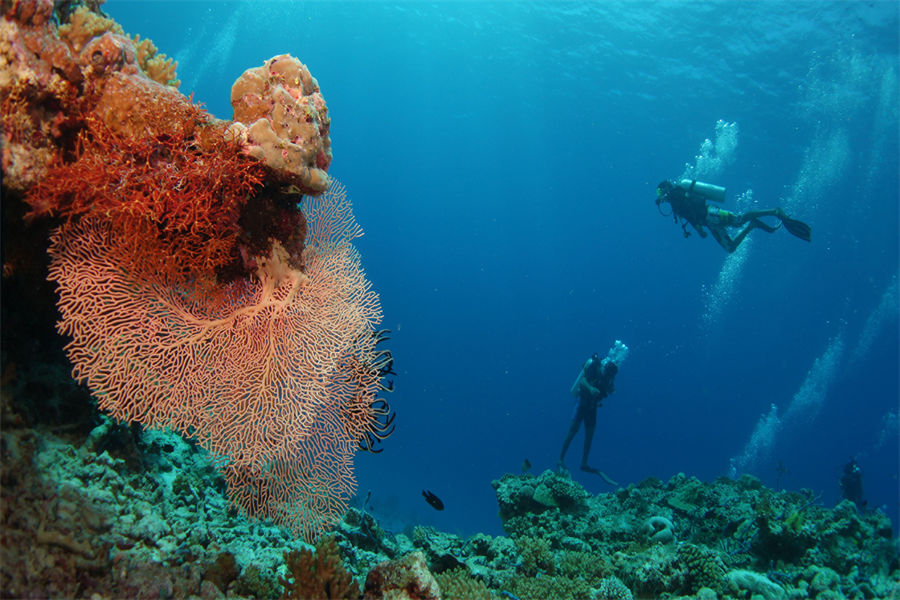 四季沃亚瓦私人岛 - 潜水中心图片1 - Four Seasons Private Island Maldives At Voavah Diving Center Photo 1