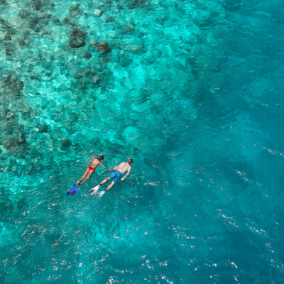 艾瑞雅度 - 潜水/浮潜图片2 - Eriyadu Maldives Dive Photo 2