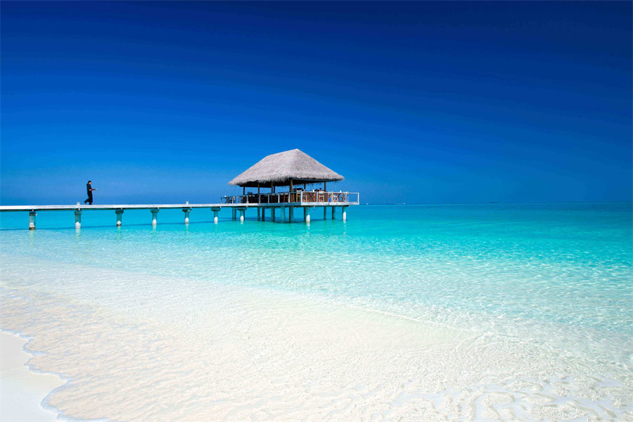 维拉沙鲁 - Teppanyaki日本餐厅图片3 - Velassaru Maldives Resort Teppanyaki Photo 3