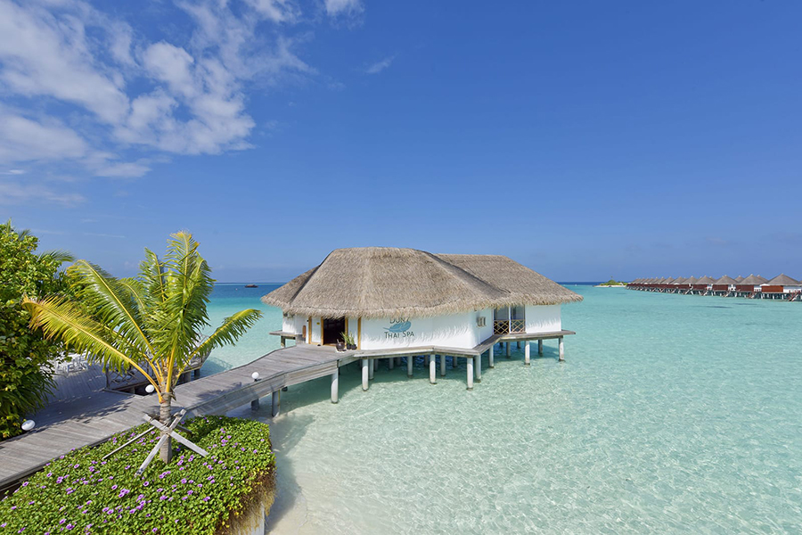 萨芙莉 -  DUNY THAI 水疗中心图片4 - Safari island  DUNY THAI Spa Photo 4