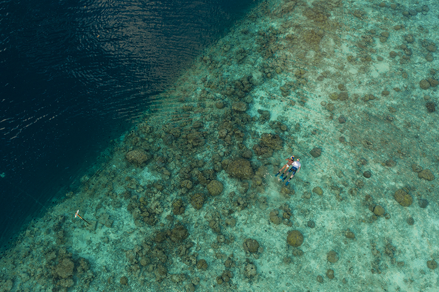 菲利西澳 - 潜水中心图片4 - Filitheyo Island Resort Maldives Diving Photo 4