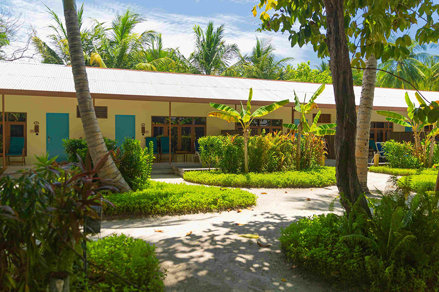 蜜月 - 花园客房图片1 -  Meeru Island Resort Garden Room Photo 1