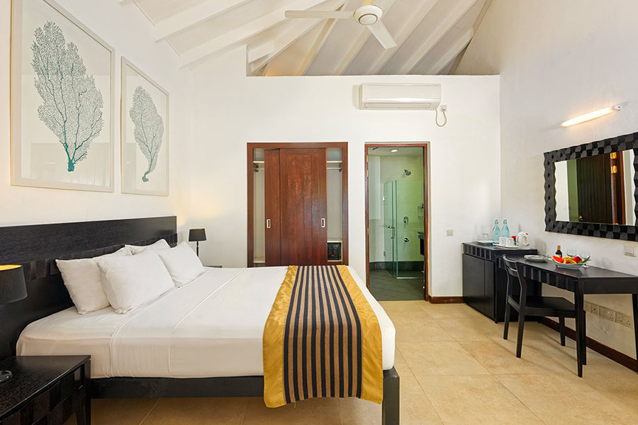 艾布度 - 高级沙滩平房图片3 - Embudu Village Superior  Beach  Bungalow Photo 3