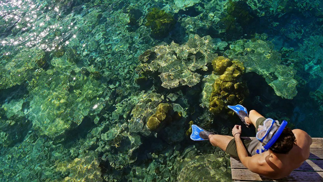 柏悦哈达哈度假村图片4 - Park Hyatt Maldives Hadahaa Resort Photo 4