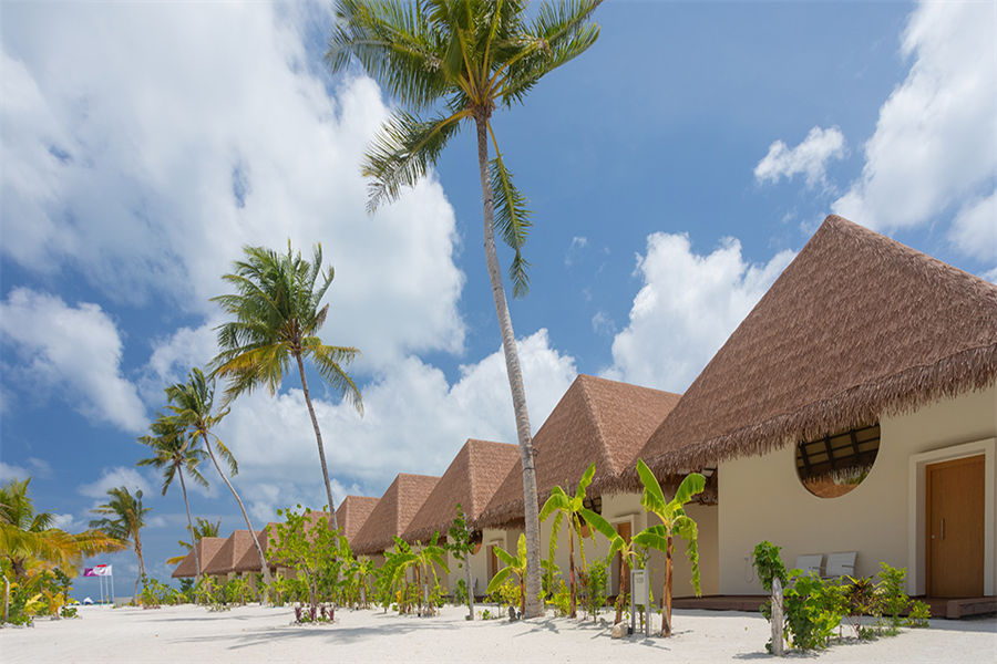 希娜蒙薇丽富士 - 高级沙滩阁楼图片2 - Cinnamon Velifushi Maldives Superior Beach Loft Photo 2