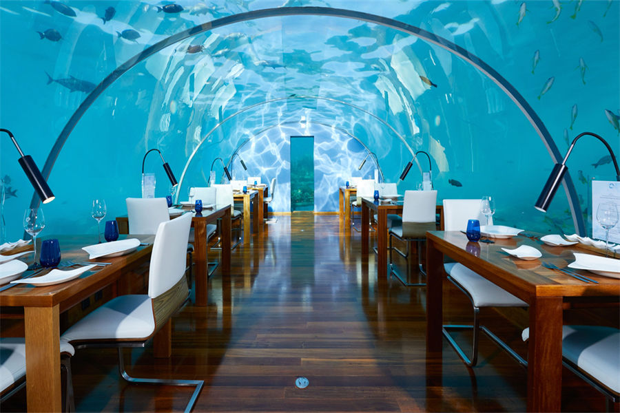 港丽 - 伊塔海底餐厅图片1 - Conrad Maldives Rangali lsland Ithaa Undersea Photo 1