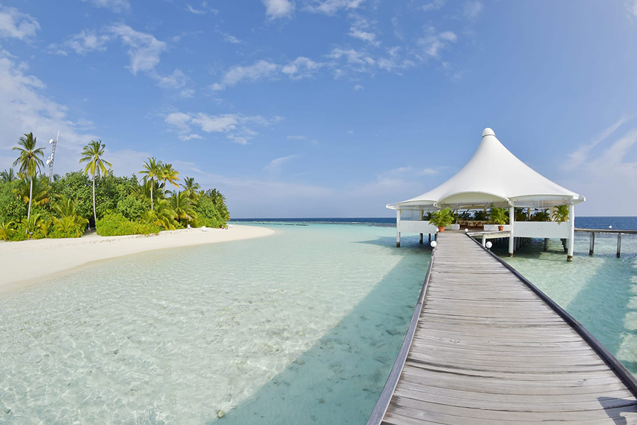 萨芙莉 -  Palm 酒吧图片1 - Safari island  Palm Bar Photo 1