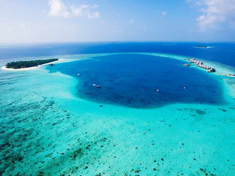薇拉瓦鲁马尔代夫度假村全景 - Angsana Velavaru Maldives Maldives Resort