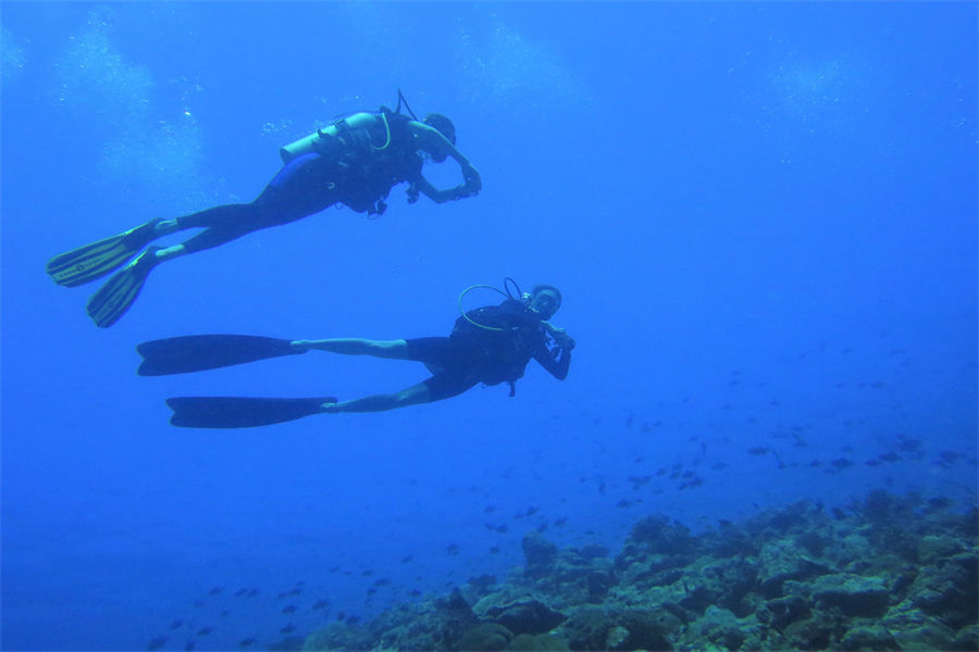芙拉薇莉 - 潜水和水上运动图片4 - Furaveri lsland Resort & Spa Diving & Water Sports Photo 4