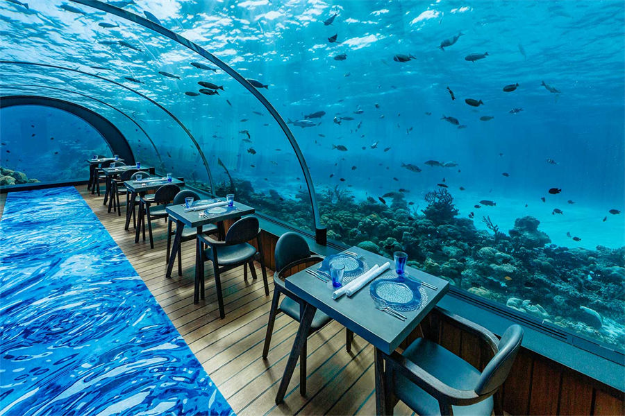 芙拉瓦丽 - 5.8水下餐厅图片3 - Hurawalhi Maldives 5.8 Undersea Photo 3