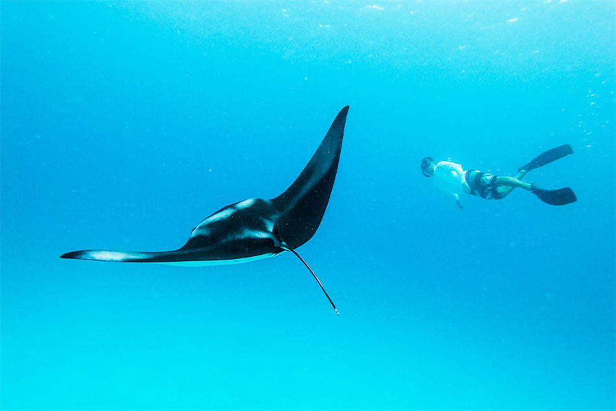 希娜蒙梦幻岛 - 潜水&水上活动图片2 -  Cinnamon Dhonveli Maldives Diving Photo 2