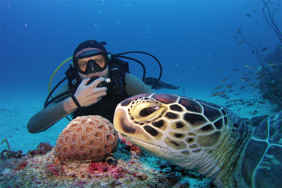 瑞提法鲁 - 潜水图片1 - Reethi Faru Resort Diving Photo 1