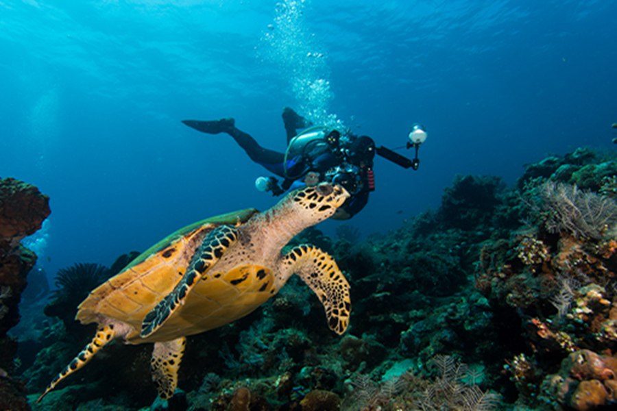 乐宜 - 潜水和水上活动图片3 - NOOE Maldives Kunaavashi Activity Photo 3