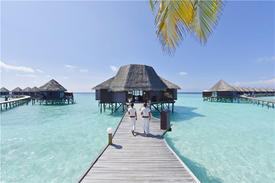 蓝色美人蕉 - 泰式水疗中心图片1 - Thulhagiri Island Resort  Duny Thai Spa Photo 1