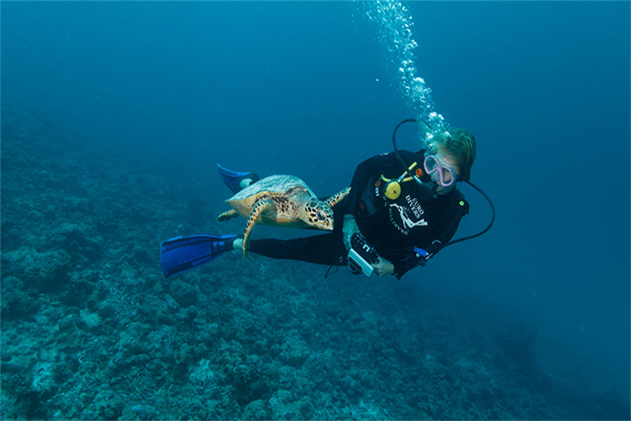 维拉蔓豪 - 潜水图片3 - Vilamendhoo Island Resort  Dive Centre Photo 3