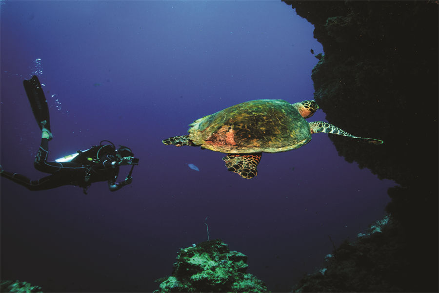 奥静圣吉利 - 潜水图片4 - OBLU SELECT SanGeli Diving Photo 4