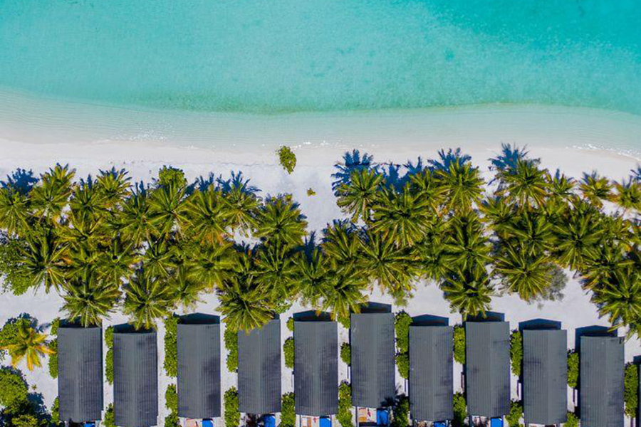 蜜月 - 按摩浴缸海滩别墅图片1 -  Meeru Island Resort Jacuzzi Beach Villa Photo 1