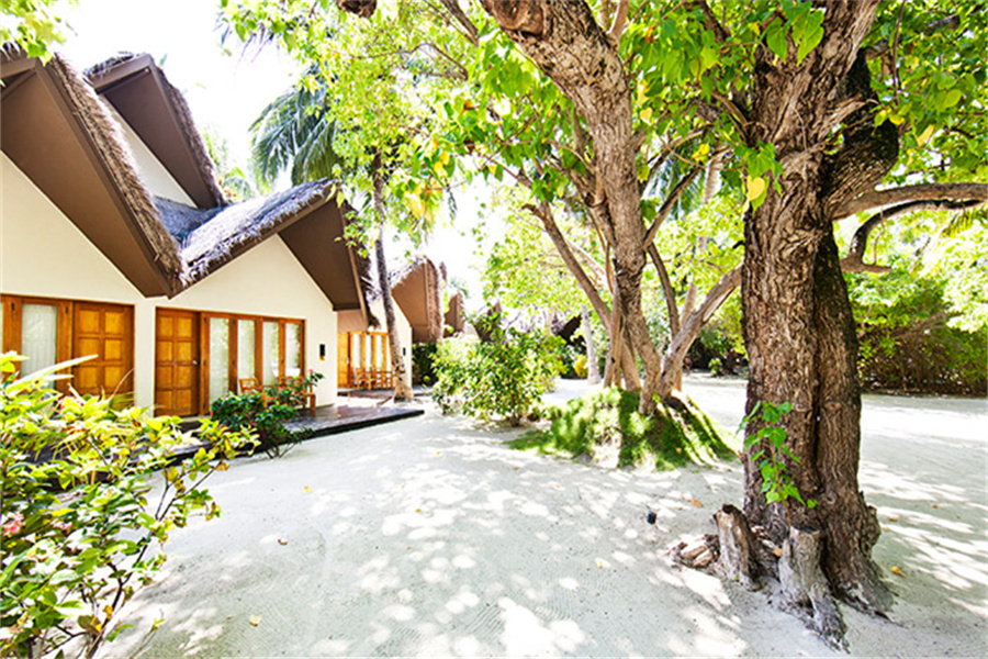 白金岛  - 双卧家庭沙滩别墅图片3 - Adaraan Hudhuranfushi Two Bed Room Family Beach Villla Photo 3