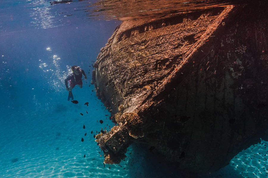 双鱼 - 沉船浮潜图片2 - Sun Siyam Olhuveli shipwreck Photo 2