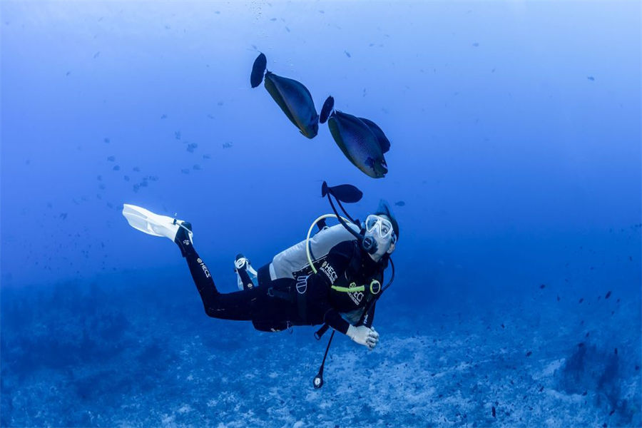 玛丽富士 - 潜水活动图片1 - Maalifushi by COMO，Maldives Diving Photo 1