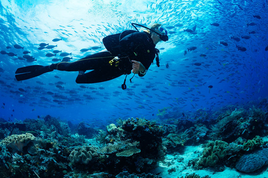 希尔顿阿明吉利 - 潜水和水上运动图片3 - Hilton Maldives Amingiri Resort & SPA Watersports & Diving Photo 3