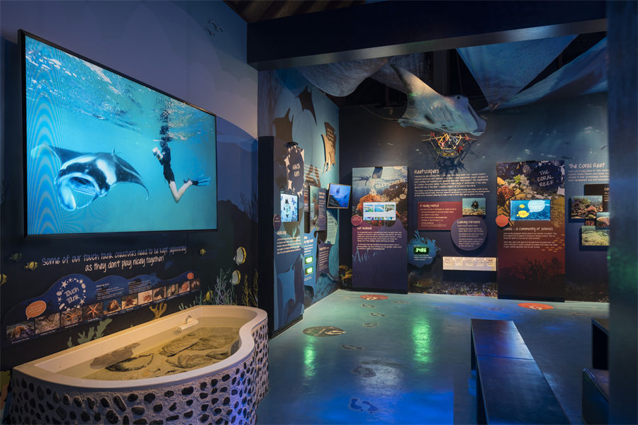 四季兰达吉拉瓦鲁 - 海洋探索中心图片4 - Four Seasons Landaa Giraavaru Marine Exploration Center Photo 4