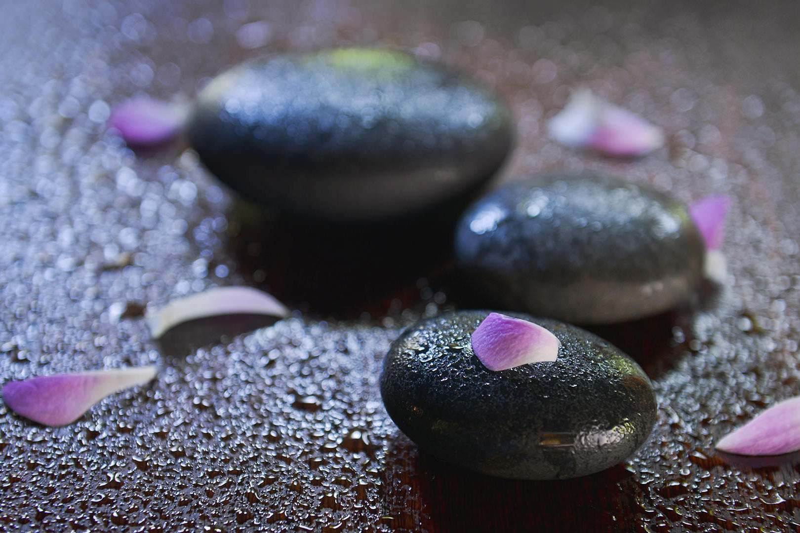 小班度士 - SPA和健身图片2 - Malahini Kuda Bandos SPA and Wellness Photo 2