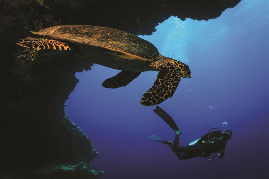 奥静圣吉利 - 潜水图片3 - OBLU SELECT SanGeli Diving Photo 3