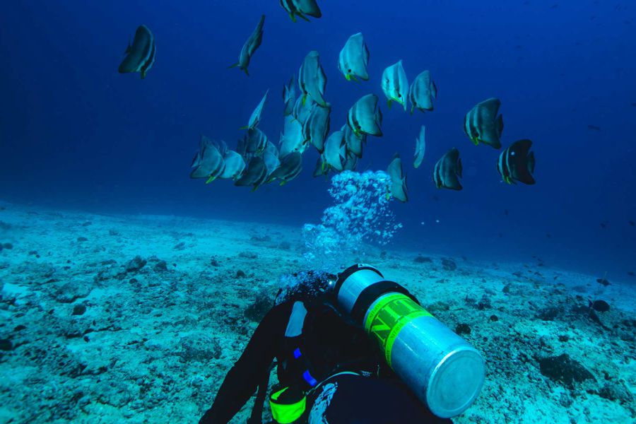 斯茹芬富士 - 水上活动和潜水图片4 - Sirru Fen Fushi-Private Lagoon Resort  Dive Centre Photo 4